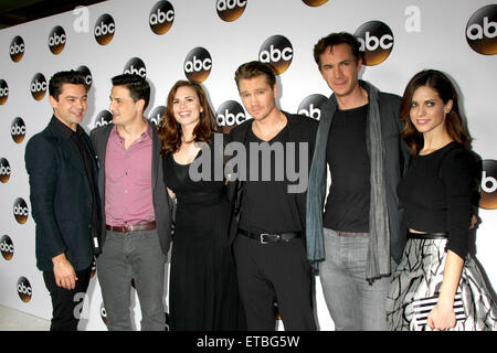 ABC Television Critics Association Winter 2015 Party  Featuring: Dominic Cooper, Enver Gjokaj, Hayley Atwell, Chad Michael Murray, James D'Arcy, Lyndsy Fonseca Where: Pasadena, California, United States When: 15 Jan 2015 Credit: Nicky Nelson/WENN.com Stock Photo