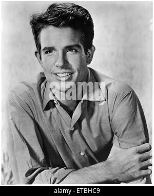 WARREN BEATTY PORTRAIT Stock Photo - Alamy