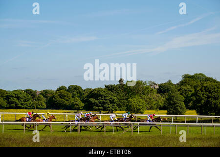 Horse racing at Beverley.  The 4 o'clock race on a hot day in June. Stock Photo