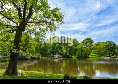 Millpond at Lyme Park, the house was featured as Pemberley in BBC series 'Pride and Prejudice', Disley, Cheshire, England, UK Stock Photo