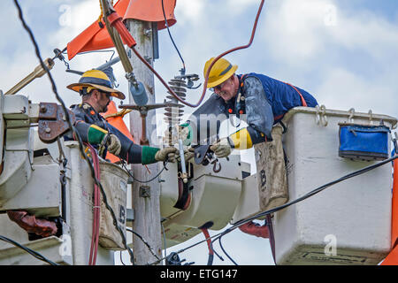 Electrical line workers use an elevated work platform called a 'cherry picker' to repair electric lines high up on a utility pole. Stock Photo