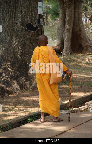 An ond monk is walking on the street with his cane Stock Photo