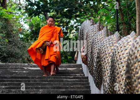 Asia. Thailand, Chiang Mai. Young Buddhist monks on their morning procession for offerings of food near a monastery. Stock Photo