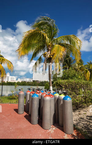 Scuba air tanks outdoors near palm tree Stock Photo