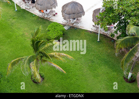 Luxury hotel area with palm trees, sun umbrellas and sunbeds. Caribbean vacation Stock Photo