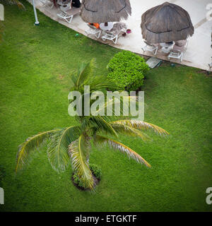 Luxury hotel area with palm trees, sun umbrellas and sunbeds. Caribbean vacation Stock Photo
