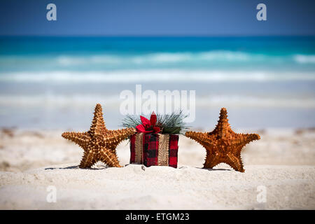 Tropical celebration on beach, two starfishes and present box closeup Stock Photo