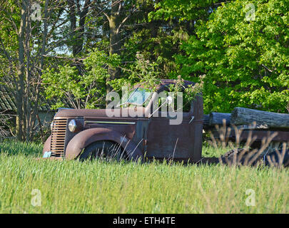 Old rusty truck with tree growing in a the front cab. Stock Photo