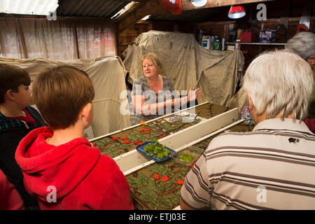 UK, England, Derbyshire, Eyam, volunteer explaining the 2014 well dressing to visitors Stock Photo