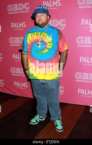 Austin 'Chumlee' Russell debuts at Ghostbar Dayclub inside Palms Resort Casino  Featuring: Austin 'Chumlee' Russell Where: Las Vegas, Nevada, United States When: 28 Feb 2015 Credit: DJDM/WENN.com Stock Photo