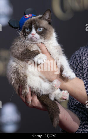 Celebrities attend Premiere of Disney's 'Cinderella' at at the El Capitan Theatre  Featuring: Grumpy Cat Where: Los Angeles, California, United States When: 02 Mar 2015 Credit: Brian To/WENN.com Stock Photo