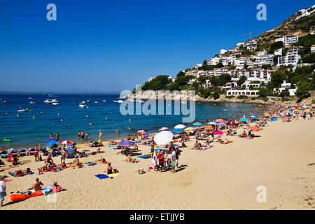 Canyelles petites beach. Roses. Stock Photo