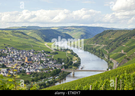 The Mosel river near Cochum in Germany with its vineyards Stock Photo