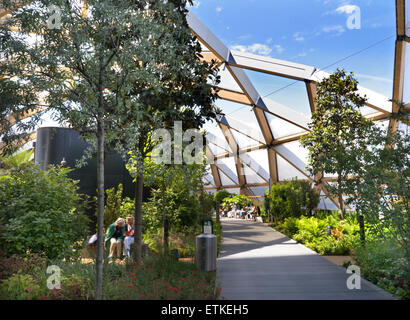 Canary Wharf tropical roof garden an oasis of calm above cross rail station designed by Sir Norman Foster Canary Wharf London Stock Photo