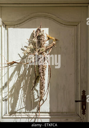 Herbs On Provence Door Stock Photo