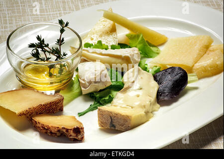 Close up Gourmet Tasty Mixed Cheese Served on White Plate with Fresh Leaves on the Table. Stock Photo