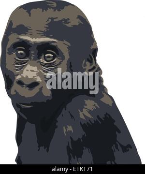 Gorilla. Vector illustration. Isolated on white background Stock Vector ...