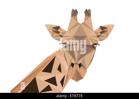 Abstract polygonal vector illustration. Portrait of giraffe. Stock Vector