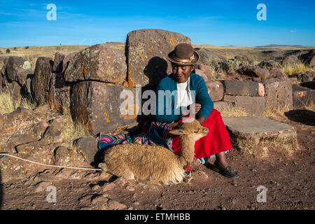 Aymara Indian woman in traditional dress sitting against stone wall with guanaco (Lama guanicoe), burial ground at Sillustani Stock Photo