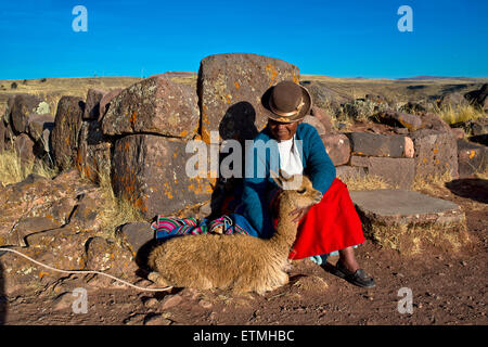 Aymara Indian woman in traditional dress sitting against stone wall with guanaco (Lama guanicoe), burial ground at Sillustani Stock Photo