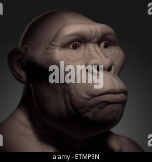 Depiction Of An Australopithecus, An Extinct Genus Of Hominids And ...