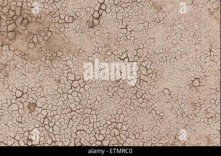 Small fractured surface of clay mud dried up under drought conditions creating mosaic of patterns blocks of similar size Stock Photo