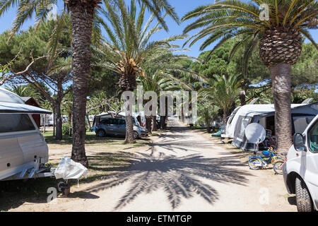 Caravans and motor homes on a camping site with palm trees. Andalusia, Spain Stock Photo