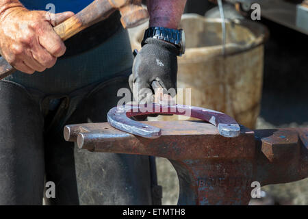 Farrier making a horseshoe and moulding it over an anvil while it was still red hot. Pollok Park, Glasgow, Scotland, UK Stock Photo