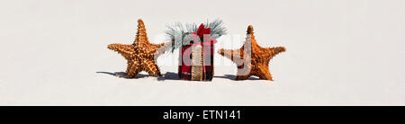 Tropical celebration on beach, two starfishes and present box closeup Stock Photo