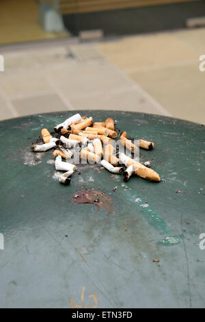 Cigarette butts stubbed out and left on top of green metal waste bin Stock Photo