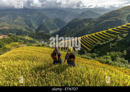 Two women on terraced rice fields, Mu Cang Chai, YenBai, Vietnam Stock Photo