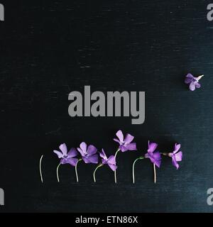 Row of flowers with one bud missing Stock Photo