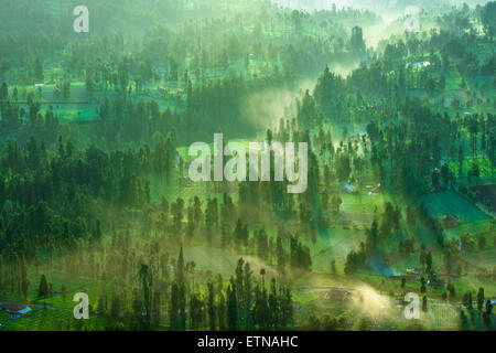 Misty Morning at Cemoro Lawang, Mount Bromo, East Java, Indonesia Stock Photo