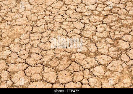 cracked dry desert ground. Wadi Rum Jordan Stock Photo