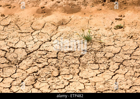 cracked dry desert ground. Wadi Rum Jordan Stock Photo