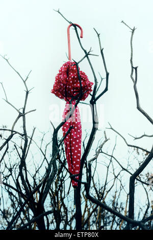 a red umbrella with white polka dots is hanging from a dead tree Stock Photo