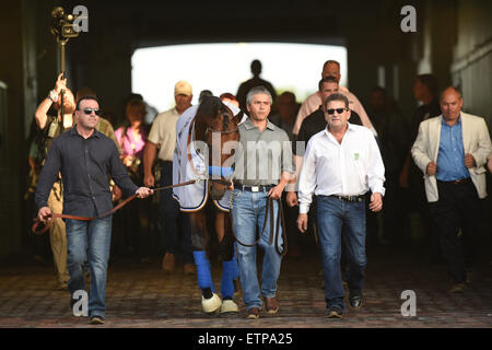 Lexington, KY, USA. 13th June, 2015. Triple Crown winner American Pharoah in the paddock. © csm/Alamy Live News Stock Photo