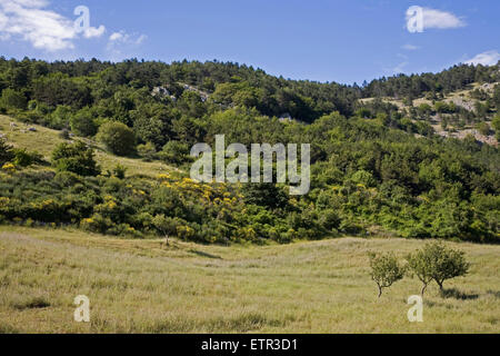 europe, italy, tuscany, castell'azzara, natural reserve of the penna mountain, panoramic view Stock Photo