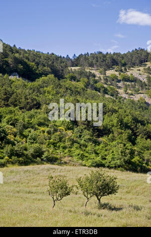 europe, italy, tuscany, castell'azzara, natural reserve of the penna mountain, panoramic view Stock Photo