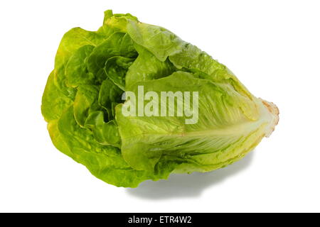 Romaine lettuce Stock Photo