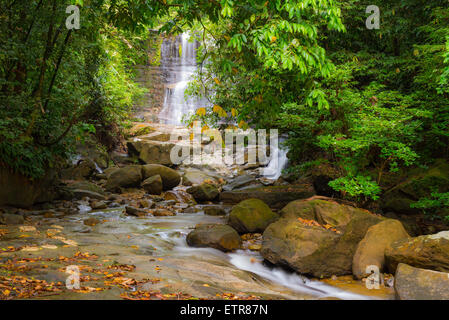 Majestic waterfall viewed in the distance amid dense lush green jungle of Kubah National Park, West Sarawak, Malaysian Borneo. Stock Photo