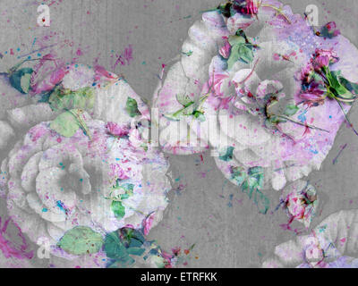 a poetic floral montage from pink roses and begonia blossoms on painted wooden background Stock Photo