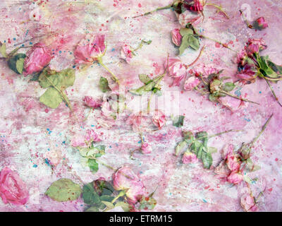 a poetic floral montage from pink roses on painted texture Stock Photo