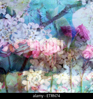 poetic photographic layer work from pink roses and other flowers, conceptual layer work, a floral montage Stock Photo