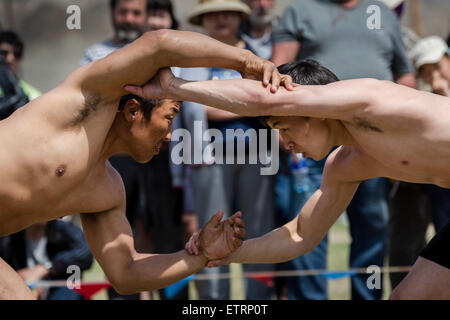 Irkutsk region, Russia. 14th June, 2015. A Buryat wrestling match during the international ethno-cultural festival Erdyn Games (Erdyn Naadan) in Irkutsk Region near Baikal lake, Russia Credit:  Nikolay Vinokurov/Alamy Live News Stock Photo