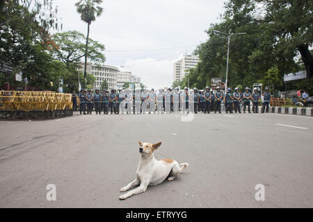 Dhaka, Bangladesh. 15th June, 2015. A dog sites in front of a police barricade in Dhaka, Bangladesh, June 15, 2015. Bangladeshi activists try to break the police barricade during on their way to place a memorandum to the prime minister to demand arrest and punishment for those who sexually assaulted several women during Bengali New Year celebrations at Dhaka University area. Credit:  Suvra Kanti Das/ZUMA Wire/ZUMAPRESS.com/Alamy Live News Stock Photo