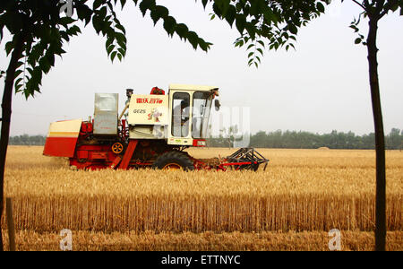 Zaozhuang, China's Shandong Province. 9th June, 2015. A combine harvester works at a wheat field in Zaozhuang, east China's Shandong Province, June 9, 2015. Favorable weather conditions and an increase in cultivated land will see large grain harvests this summer, according to the Ministry of Agriculture (MOC). © Zhang Qiang/Xinhua/Alamy Live News Stock Photo