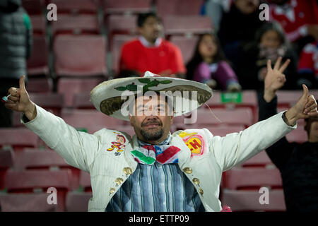 Santiago, Chile. 15th June, 2015. A fan of Mexico reacts prior to the Group A match of the Copa America 2015 between Chile and Mexico, to be held at the National Stadium, in Santiago, Chile, on June 15, 2015. Credit:  Pedro Mera/Xinhua/Alamy Live News Stock Photo