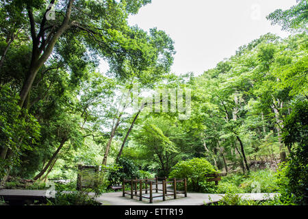 Yatoyama Park, Zama city,Kanagawa Prefecture,Japan Stock Photo