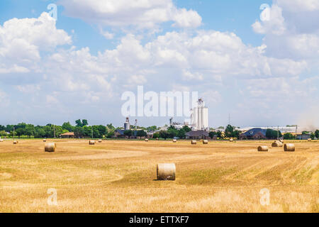 A poor wheat crop fit only for baling for hay litter a field with a grain elevator in the background. Oklahoma, USA. Stock Photo